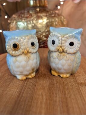 Blue and Cream Ceramic Owl Salt and Pepper Shaker Set